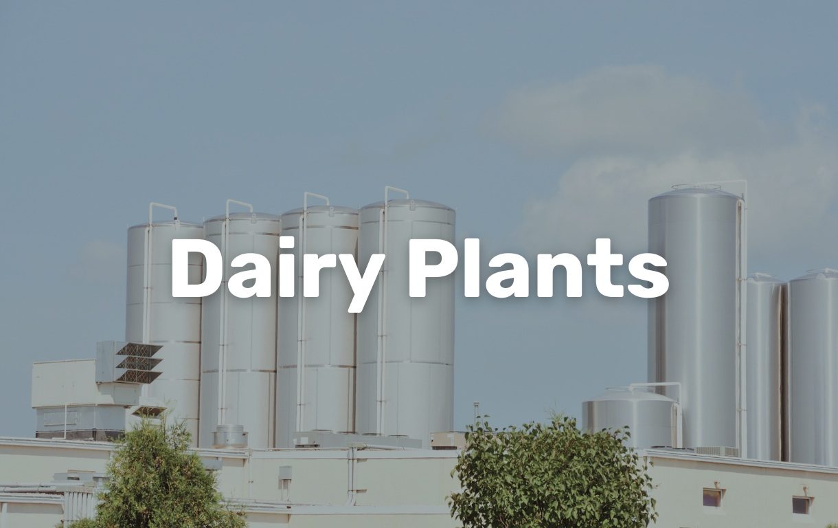 Dairy plants
