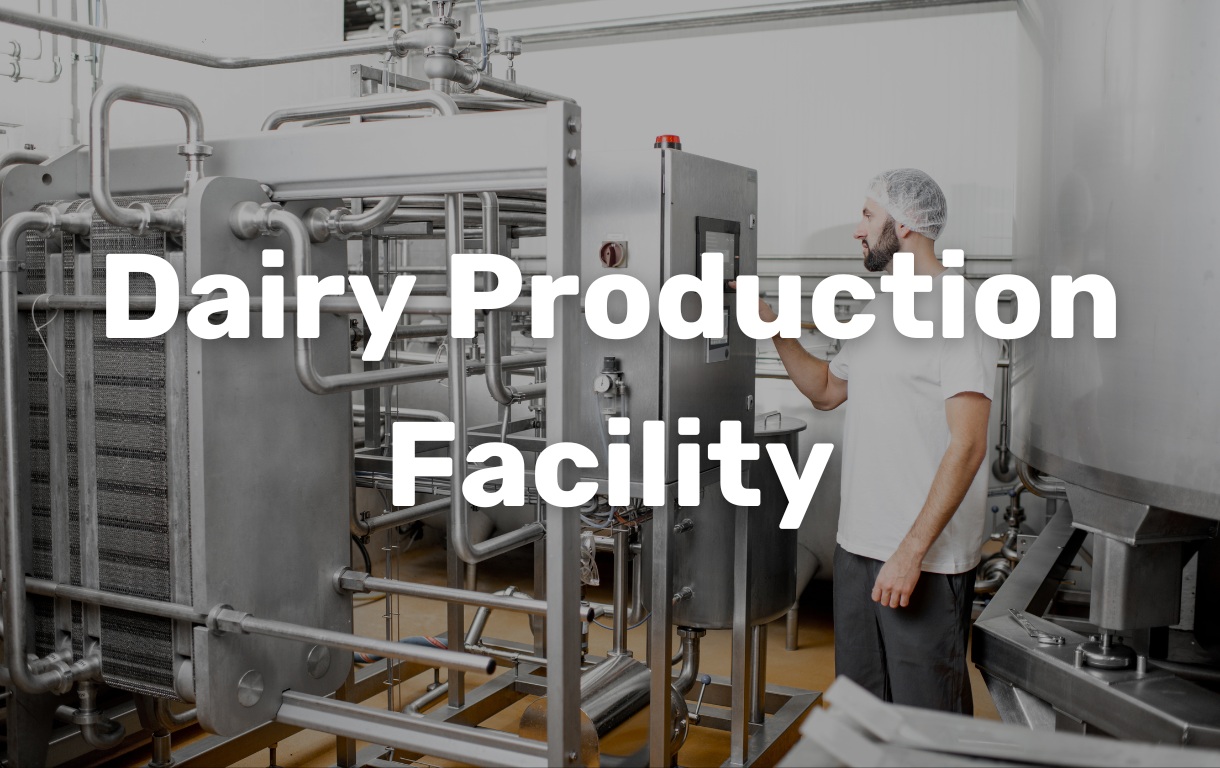 dairy production